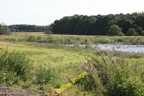 Photo 6x4 wetlands - photo, the