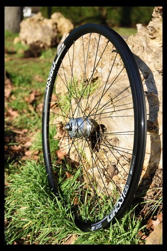 Handbuilt son schmidt dt - son, cl