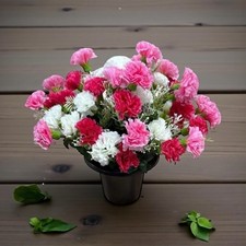 Mixed Carnations