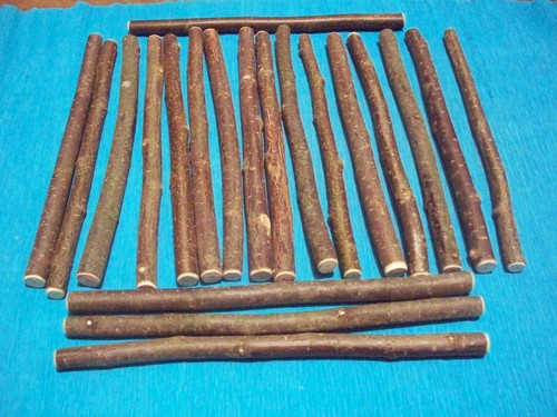 Hazel wood craft - wood,