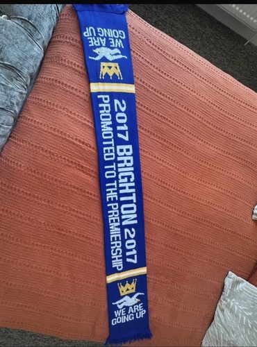 Brighton hove albion we - albion, "we