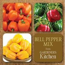 Pepper Plants - 'Mixed Bell