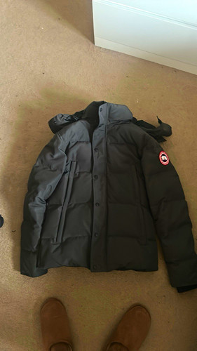 Canada goose arctic - canada,