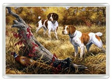 BRITTANY SPANIEL DOG FRIDGE