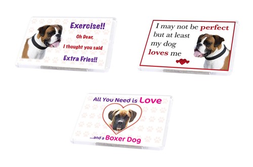 Cute funny dog - funny, fridge