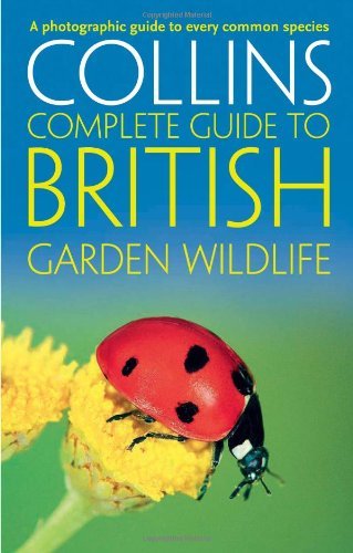 British garden wildlife a - british,