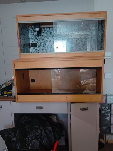 Reptile vivarium 3ft by - reptile,