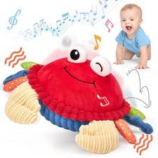 hahaland Sensory Toys for