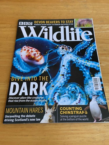 Bbc wildlife magazine - bbc,