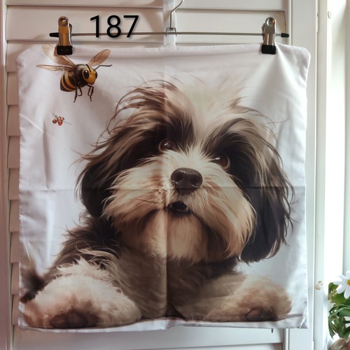 Bearded collie bee soft - collie,
