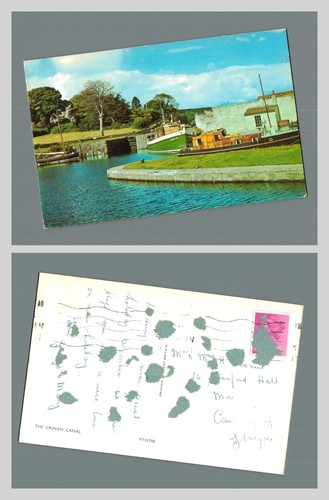 Vintage postcard the - vintage,