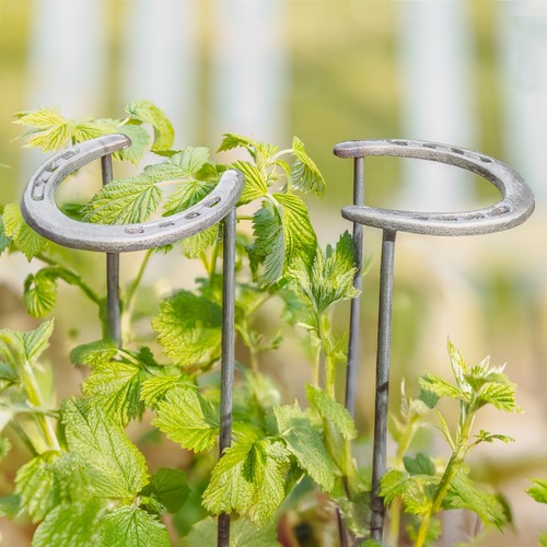 Garden plant support - support, frame