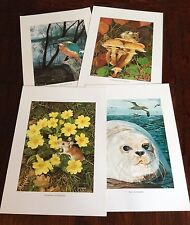 Set of Limited Edition Lithograph Prints