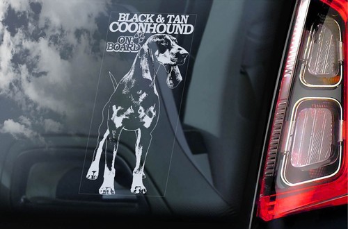 Black and tan coonhound - black,
