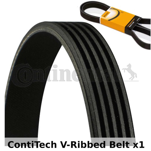 Contitech ribbed belt - contitech,