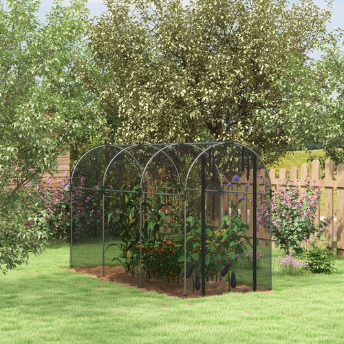 Fruit cage plant protection - plant,