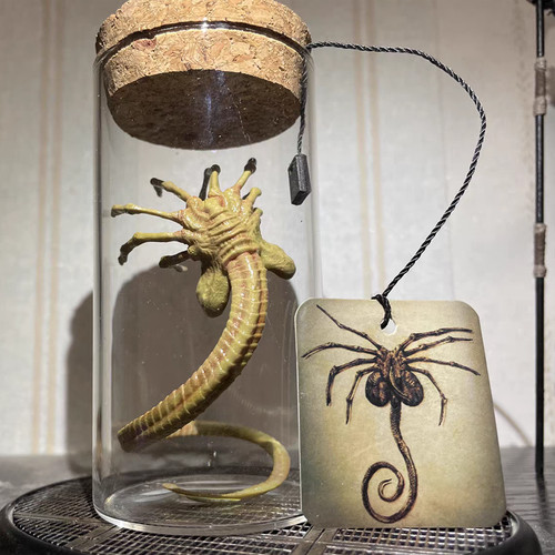 Alien predator facehugger - alien,