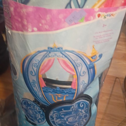 Disney princess carriage - disney,