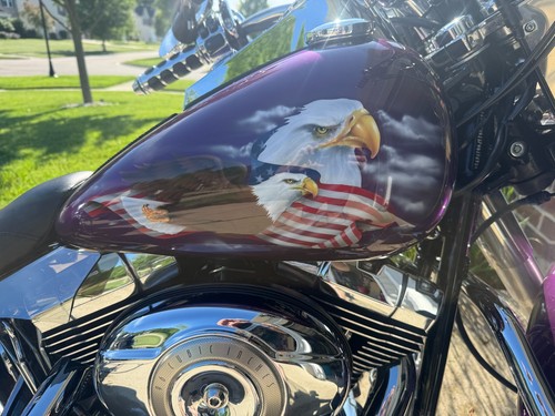 2007 harley davidson - harley-davidson, flstn