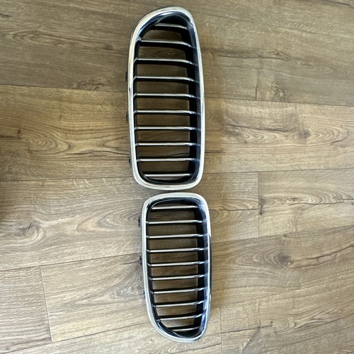 Bmw kidneys grille - kidneys,