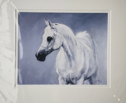 Arabian horse giclee print