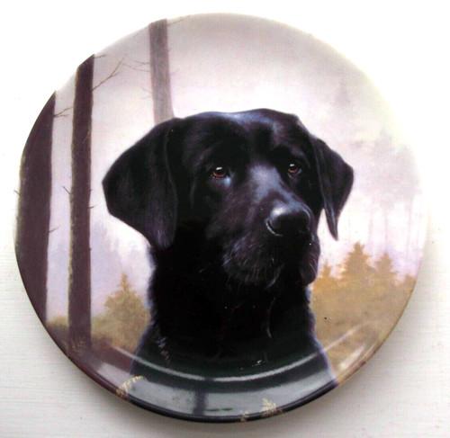 Danbury mint wedgwood plate - mint,