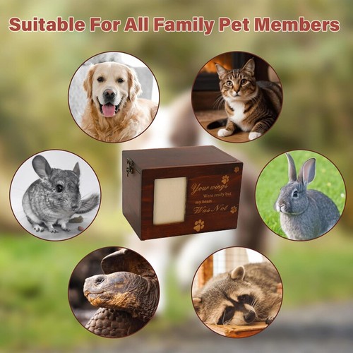 Pet cremation urn ash urns - urn,