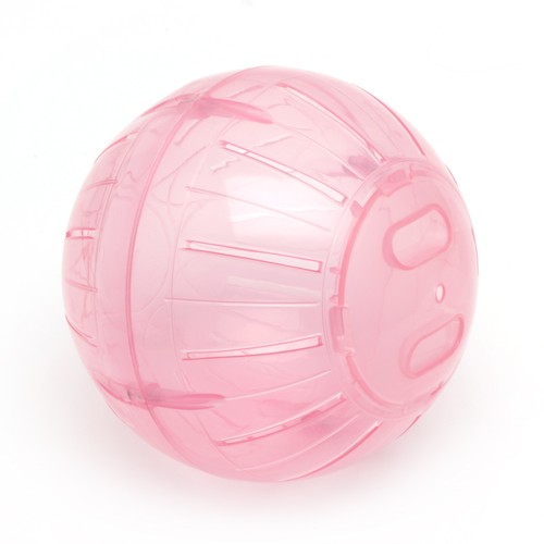 Hamster activity transparent - activity,