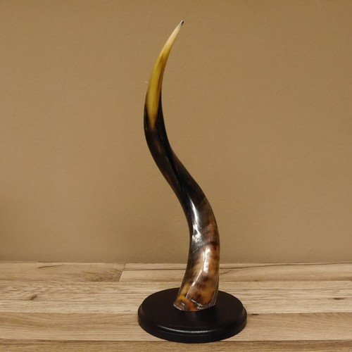 Piece kudu exterior horn - 1,