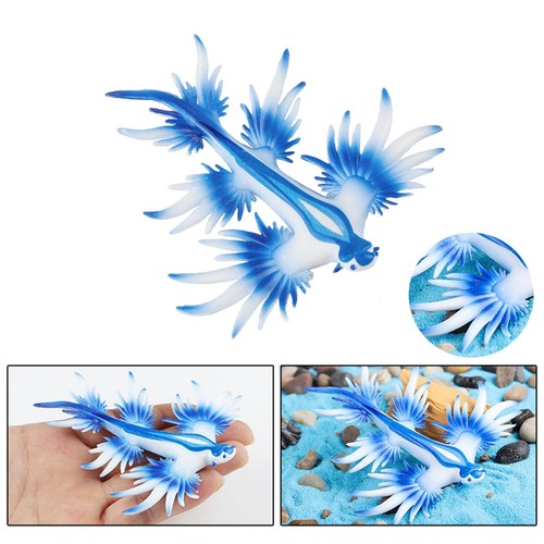 Realistic sea slug - slug, animal