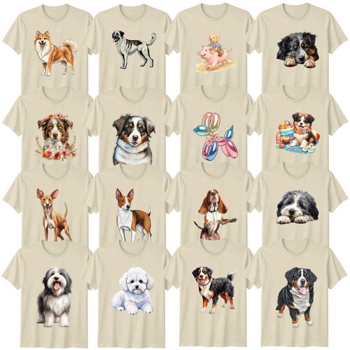 Australian shepherd dog - australian,