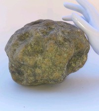 Large 8 lb Unopened Kentucky