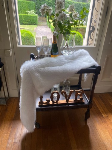 Luxury arctic white faux fur - arctic,