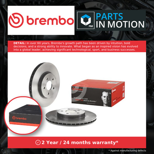 Brake discs pair - brake,