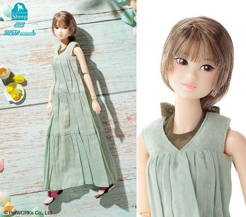 Nrfb momoko doll 2021 ccs - nrfb,