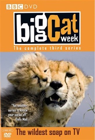 Big cat week series 3 - big,