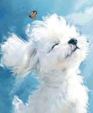 R121 - Cute Dog Painting By