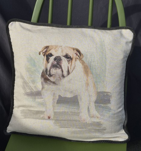 English bulldog velvet - bulldog,
