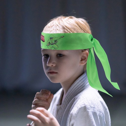 Japanese sushi chef karate - ,