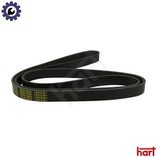 VRIBBED BELT 368 953 FOR