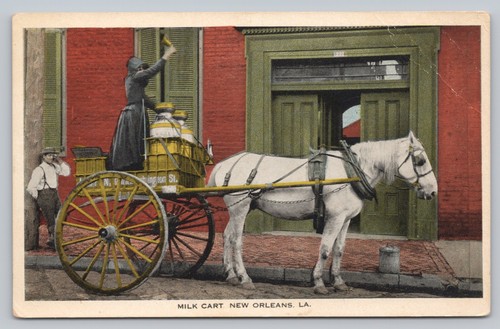 Postcard new orleans milk - postcard,