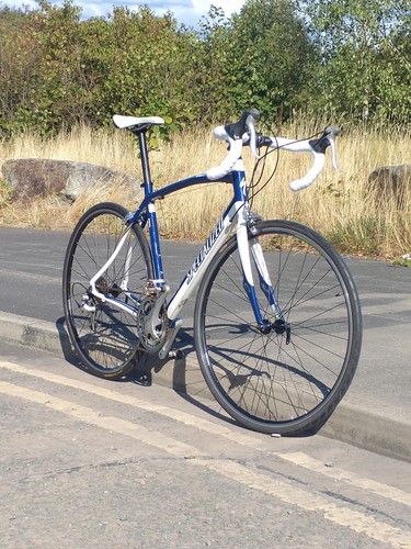 Specialized secteur road bike - specialized,