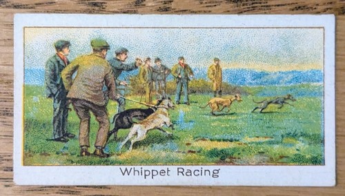 1925 boguslavsky turf - 1925,