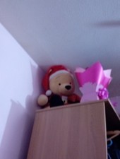 Winny The Poo Teddy Bear 