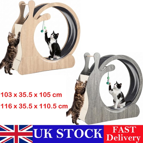 Cat wheel exerciser large - wheel, exerciser,