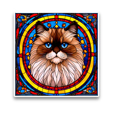 Cute Himalayan Cat Faux