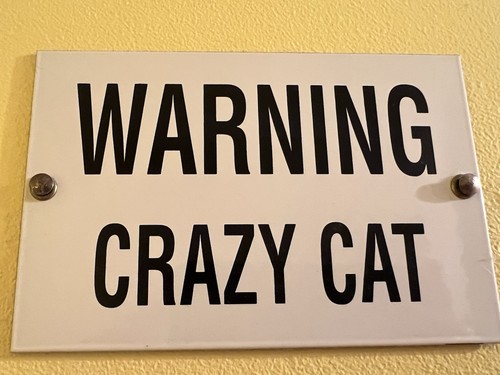 Ande rooney crazy - rooney, cat