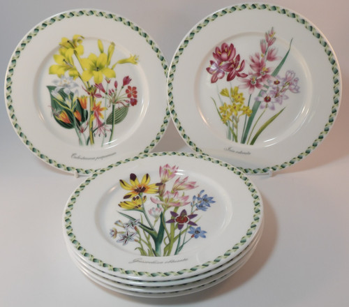 Full set portmeirion ladies - 6,