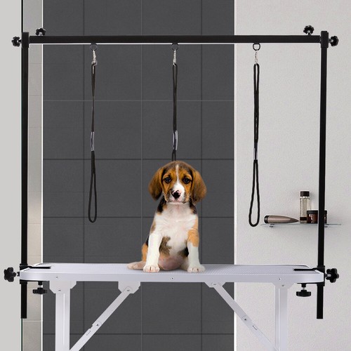 Dog pet grooming - dog,