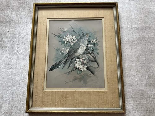 Basil ede cuckoo blossom - cuckoo, in